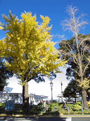 会場の目の前は山下公園