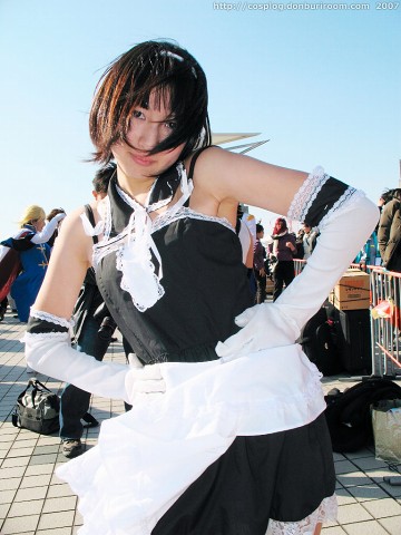 c73_204c.jpg