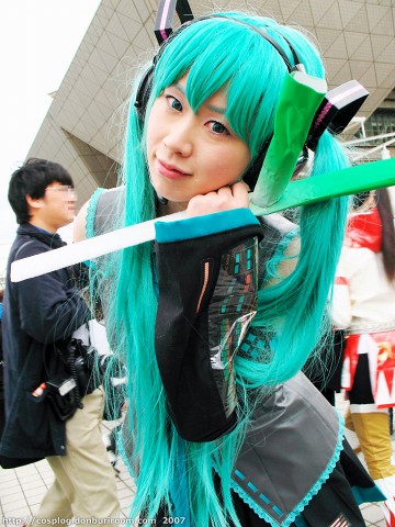 c73_213a.jpg