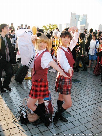 c73_220b.jpg