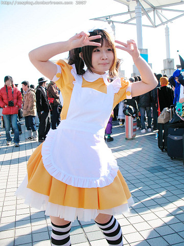 c73_306b.jpg