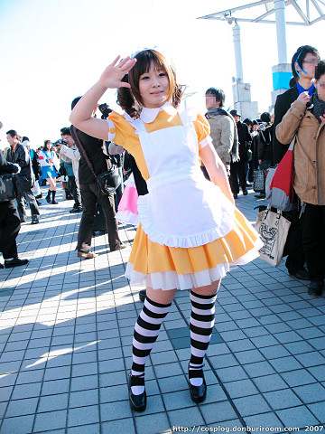 c73_306c.jpg