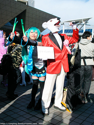 c73_308e.jpg