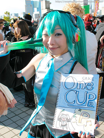 c73_308h.jpg