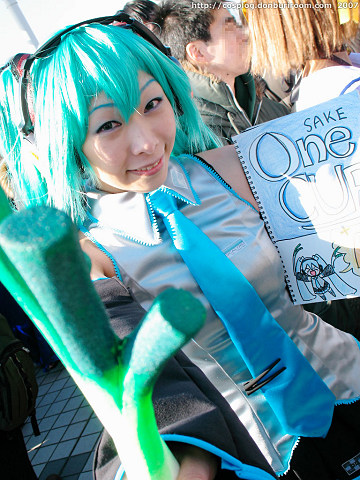c73_308j.jpg