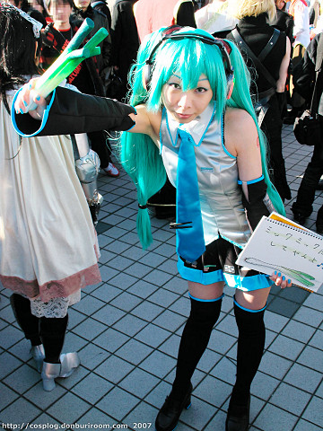 c73_308k.jpg