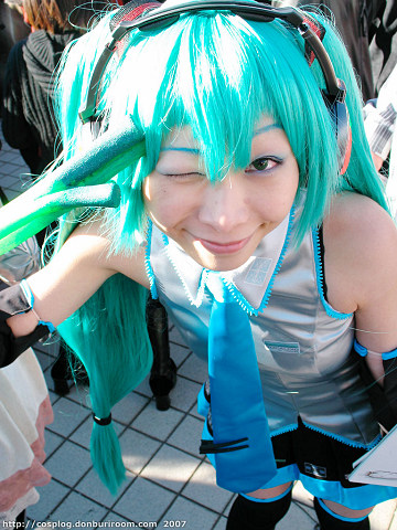 c73_308l.jpg