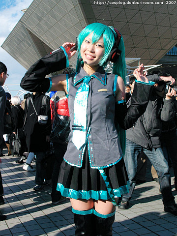 c73_309c.jpg