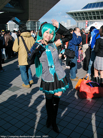 c73_309d.jpg