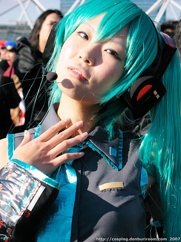 c73_309g.jpg