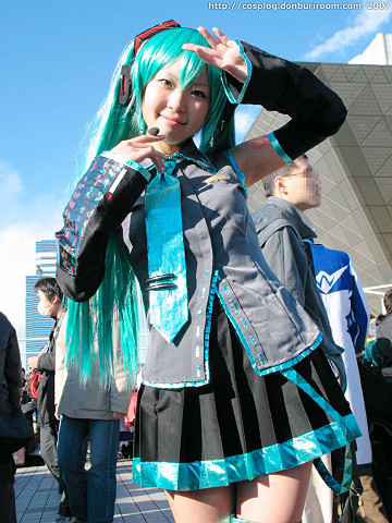 c73_309h.jpg
