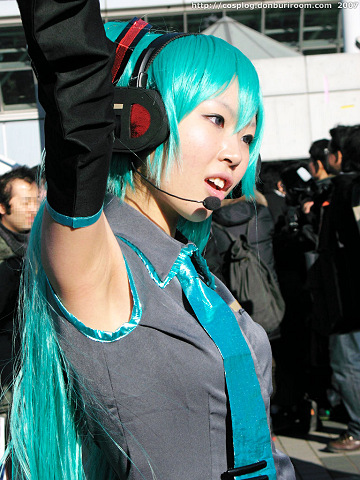 c73_309k.jpg