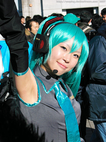 c73_309l.jpg