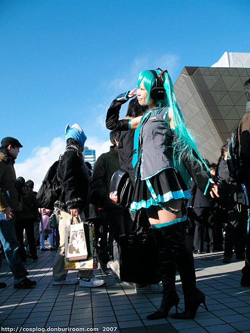 c73_309p.jpg