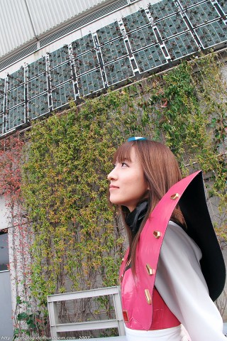 wf07w_12d.jpg