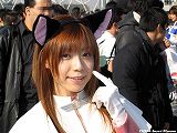 c65_214a.jpg