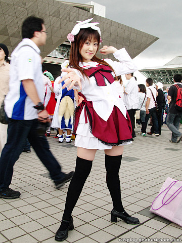 c74_213d.jpg