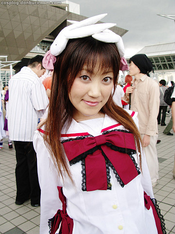 c74_213f.jpg