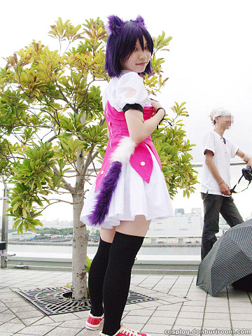 c74_215d.jpg