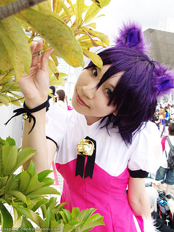 c74_215e.jpg