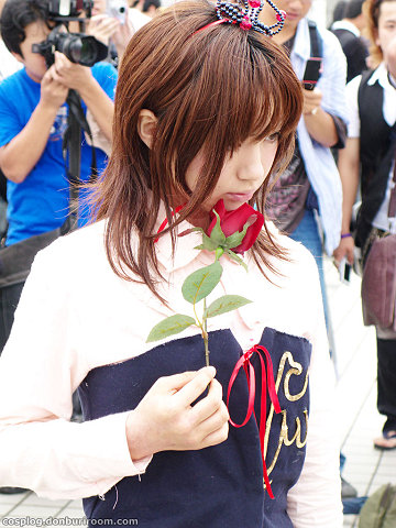 c74_305b.jpg
