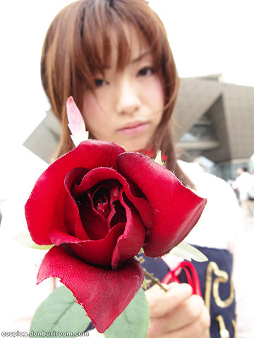 c74_305f.jpg
